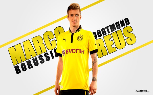 皇家塔馬利聯(lián)VSTF指數(shù)